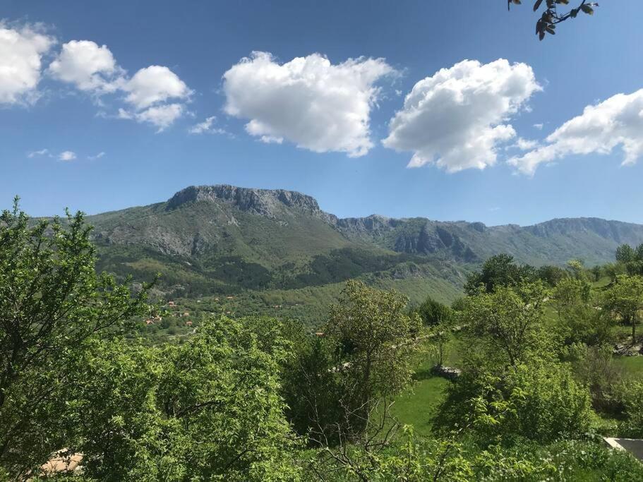 Grandma'S Hut Villa Nikšić Dış mekan fotoğraf
