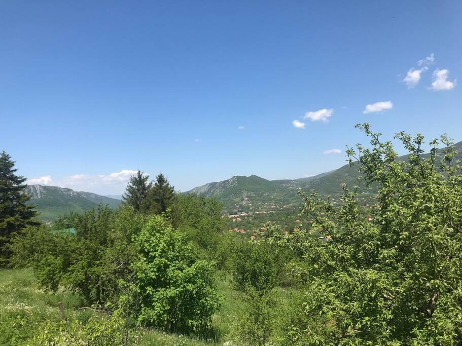 Grandma'S Hut Villa Nikšić Dış mekan fotoğraf